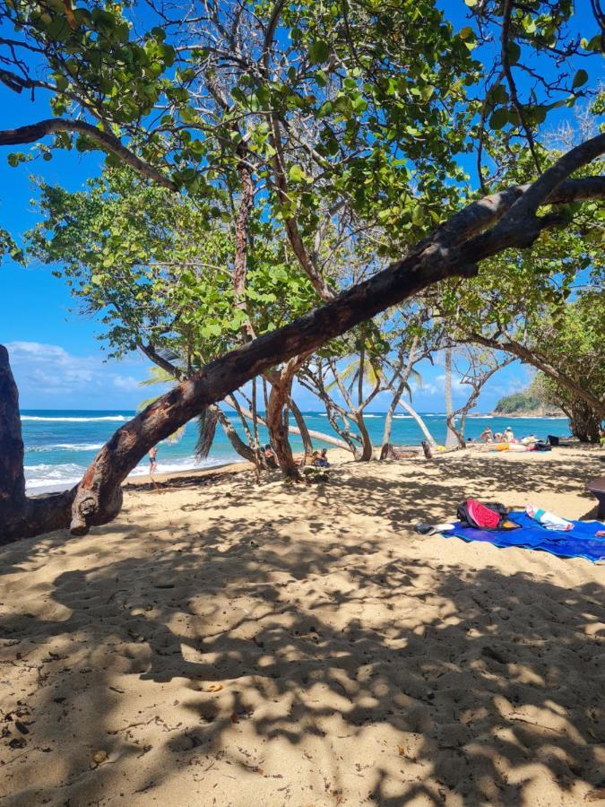 Studio Des Flots - Tartane Martinique Ла-Трініте Екстер'єр фото