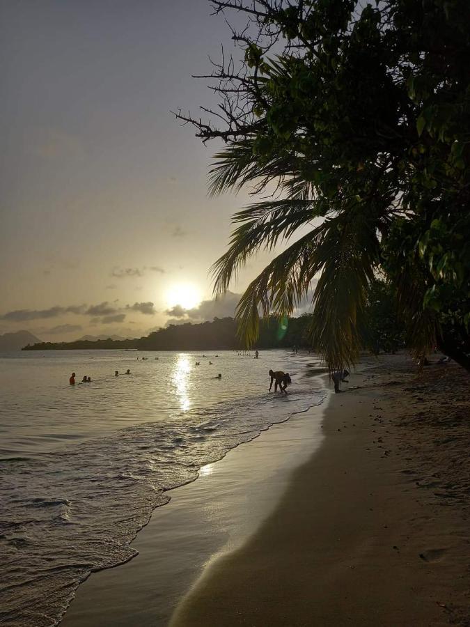 Studio Des Flots - Tartane Martinique Ла-Трініте Екстер'єр фото