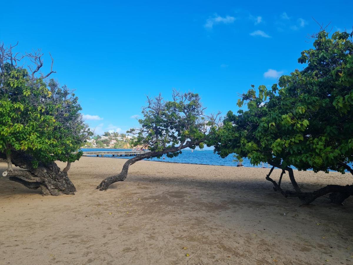 Studio Des Flots - Tartane Martinique Ла-Трініте Екстер'єр фото