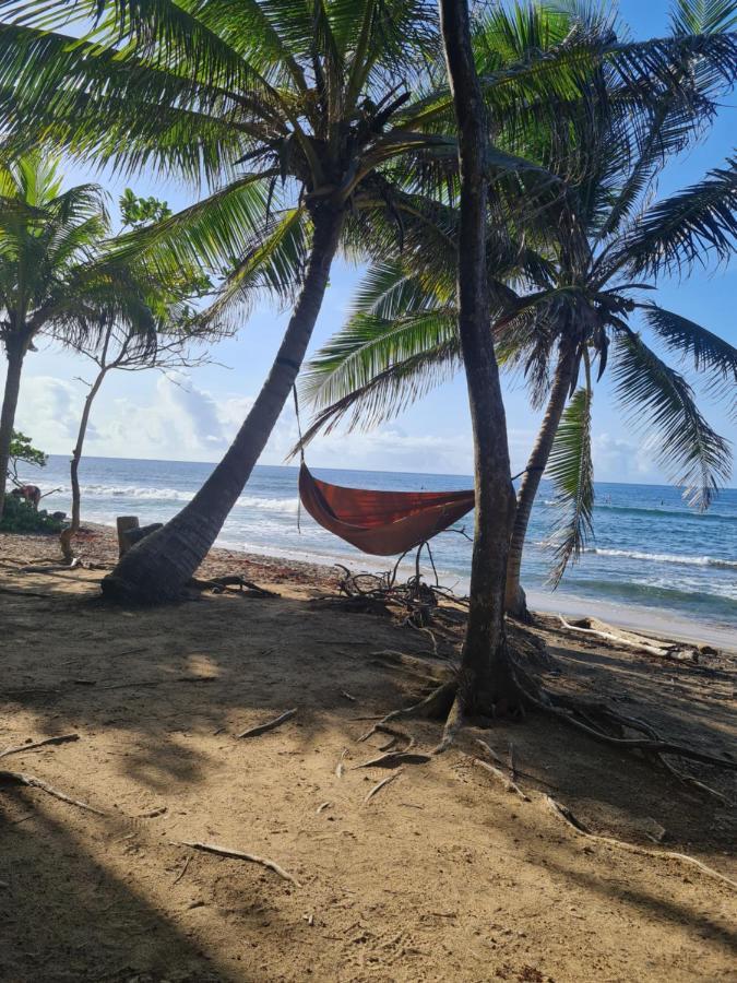 Studio Des Flots - Tartane Martinique Ла-Трініте Екстер'єр фото