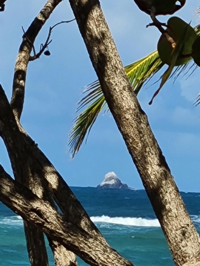 Studio Des Flots - Tartane Martinique Ла-Трініте Екстер'єр фото