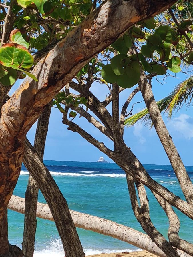 Studio Des Flots - Tartane Martinique Ла-Трініте Екстер'єр фото